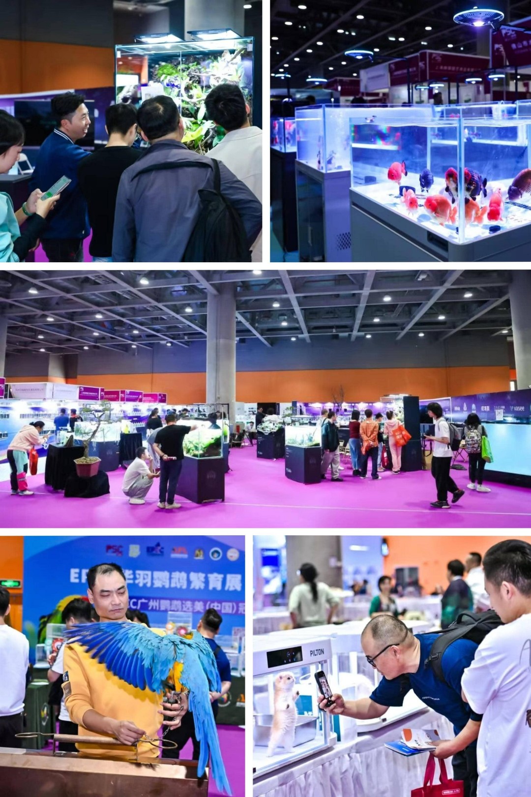 Pet Sourcing Fair China 2025 Concludes Successfully in Guangzhou, Driving Global Industry Collaboration