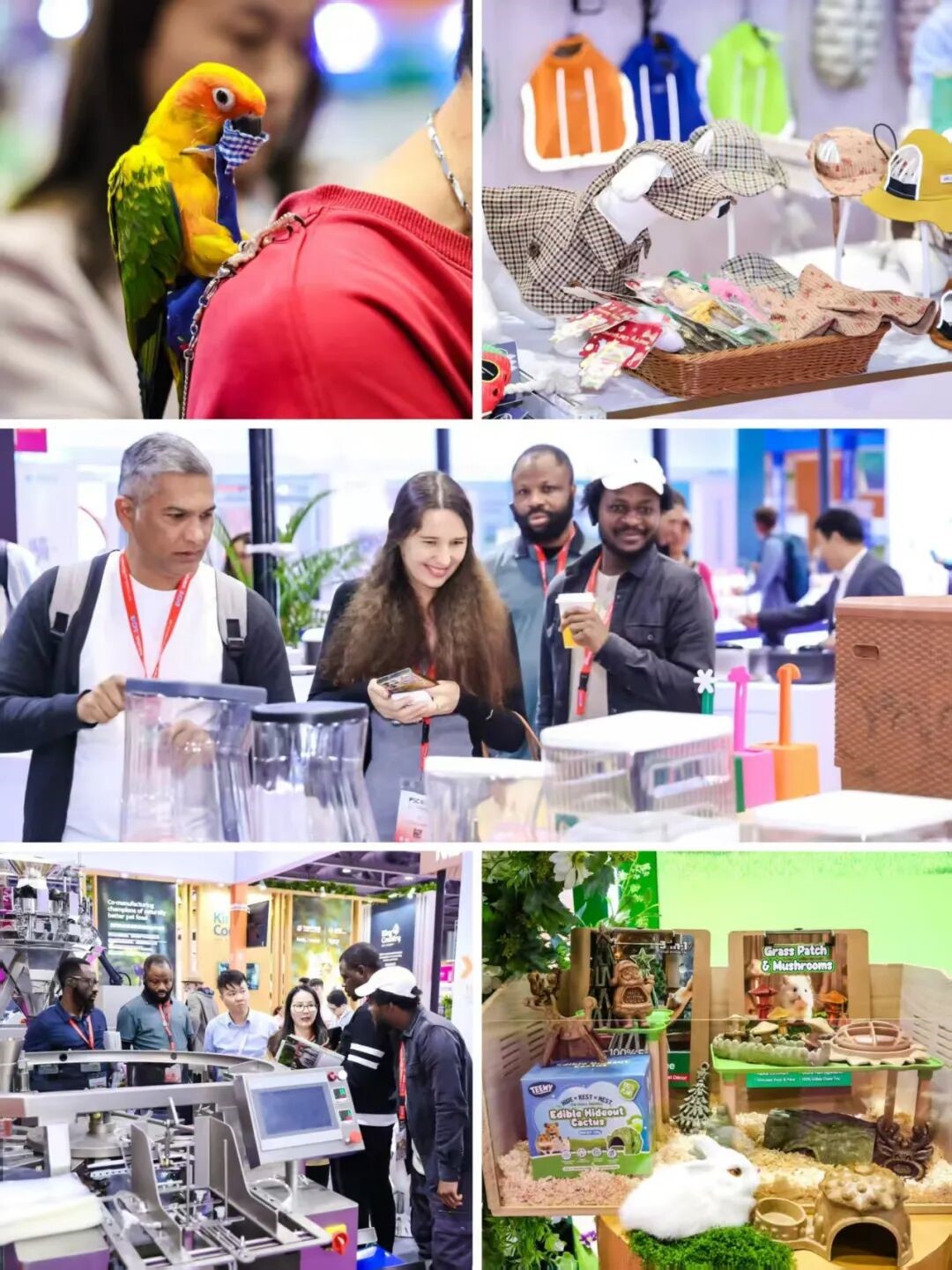 Pet Sourcing Fair China 2025 Concludes Successfully in Guangzhou, Driving Global Industry Collaboration
